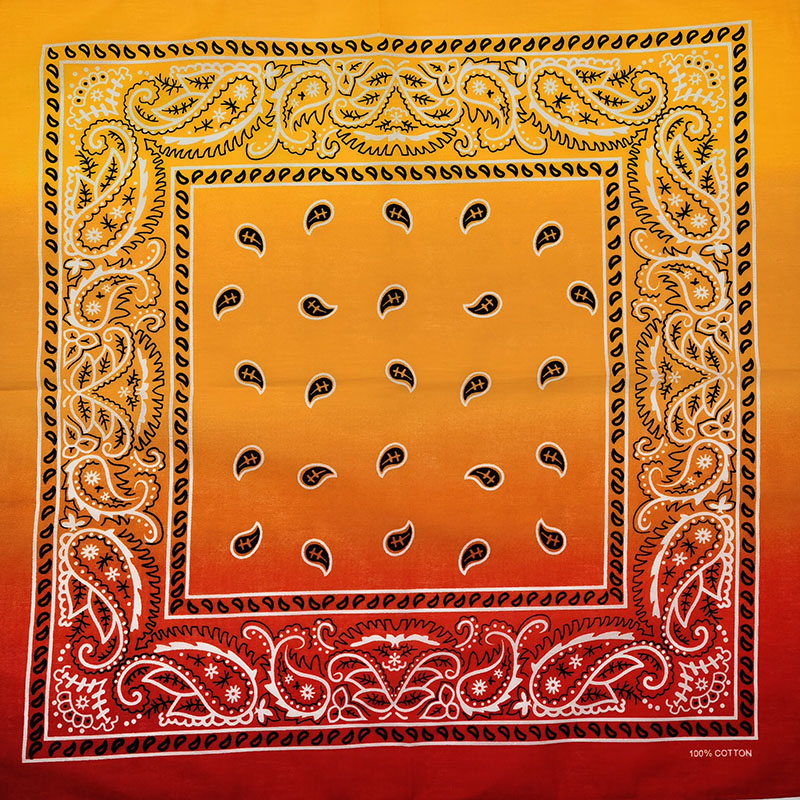 Fashion Unisex Black Paisley H - Bandana Blank White avis et prix
