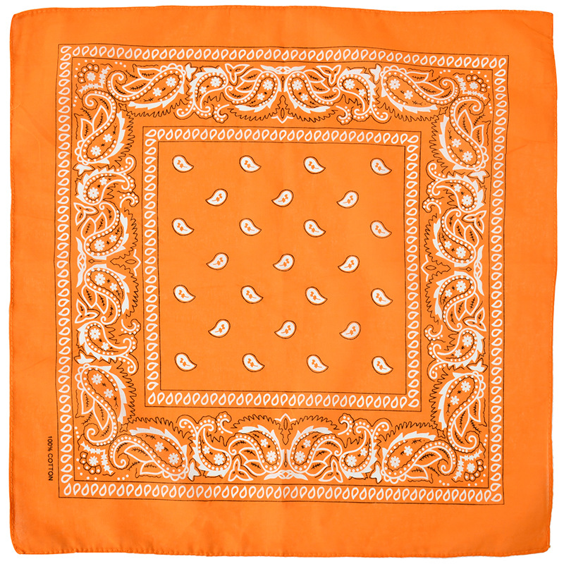 Hot Sell Kerchief Bandana Hip  - Bandana Blank White avis et prix