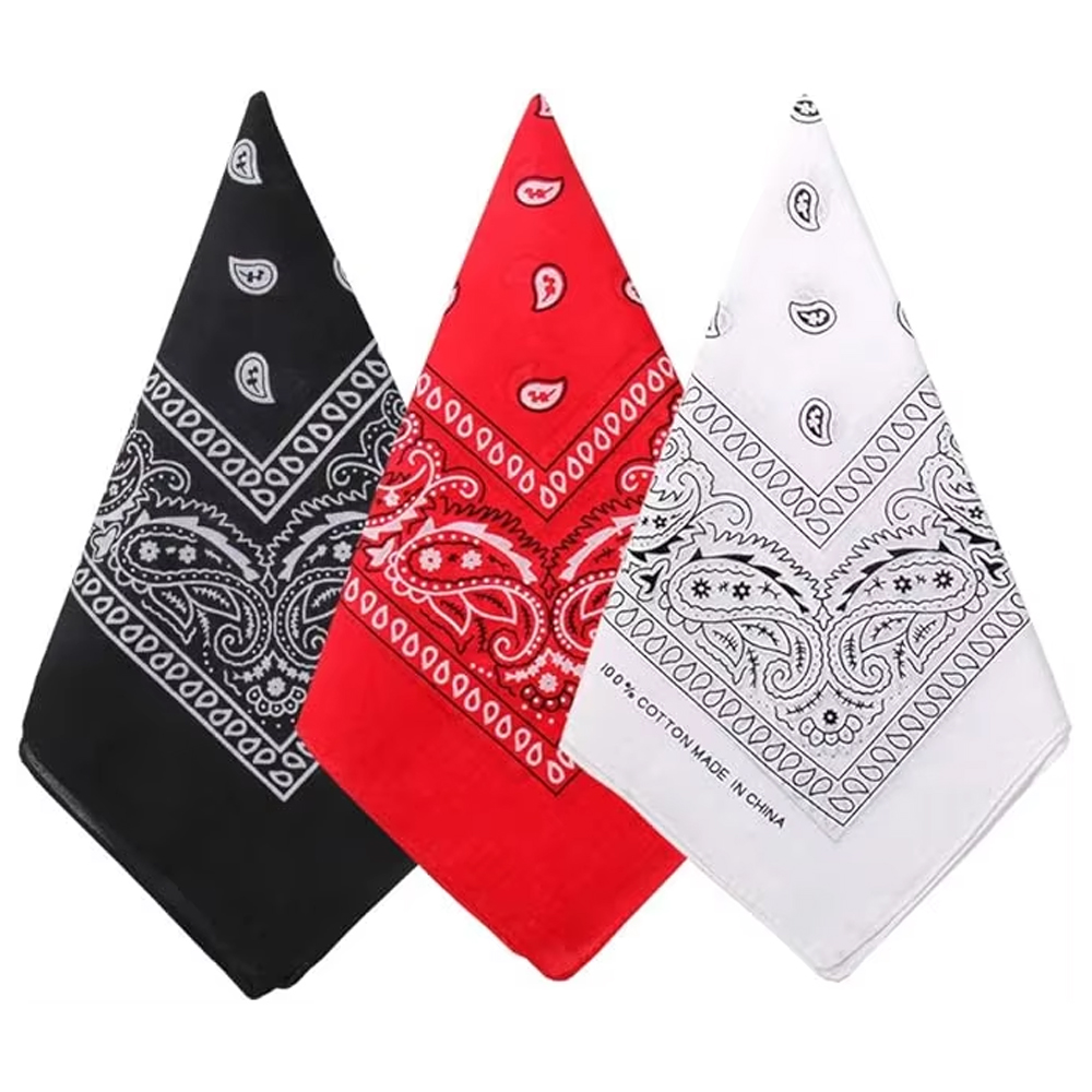 Hip Hop Cowboy Paisley Scarf L - Bandana Blank White avis et prix