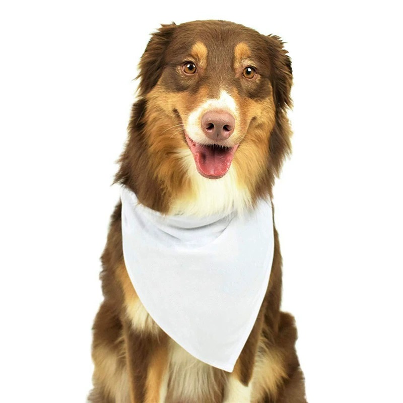 30pcs White Polyester Blank Do - Bandana Blank White avis et prix